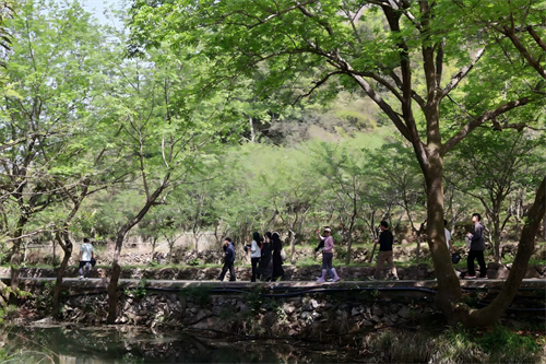 Zhong Yandang dağında xoşbəxt komanda binası